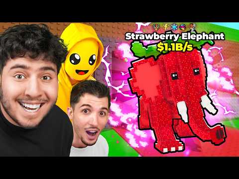 On a eu un Vrai STRAWBERRY ELEPHANT sur le Tapis !