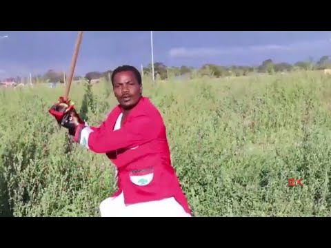 Araarsaa Gabbisaa Qeerroon Raajiitti Jira 2018 Raya Studio Recording