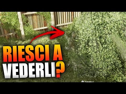 TU RIUSCIRESTI A VEDERLI?? -  Campionato Minigiochi [5a Giornata]