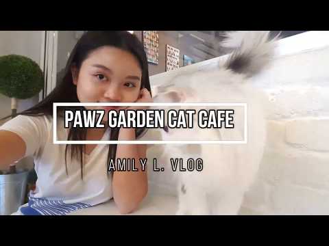 ❤🐈 Playing with cutie cats at Pet Paradise, Kolombong Sabah 🐈