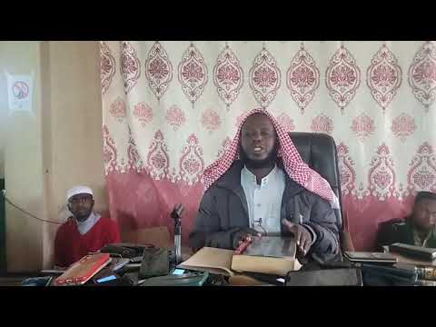 Darsii 1ffaa umdatul ahkam. Sheik iliyaas