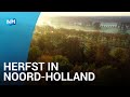 Vijftig tinten bruin: herfst in Noord-Holland