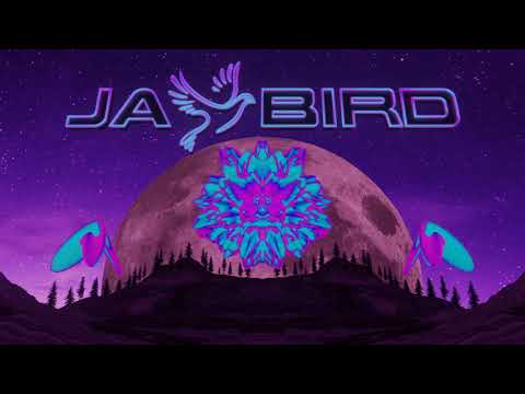 MRVLZ x Jay Bird- Alive feat DNAKM (Official Video)