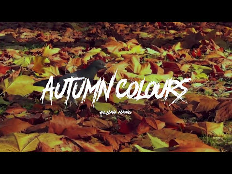 Elijah Nang - Autumn Colours