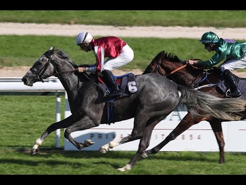 Köln: Preis der BHF-BANK Münster (D) - Siegerin: Princesse Made