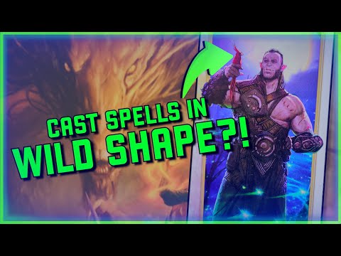 MOON Druid D&D 2024 Subclass (INSANE Damage  Stacking!!)