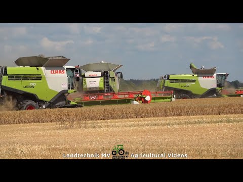Claas - Fendt - John Deere - ++ / Getreideernte - Grain Harvest  2021  The Whole Story
