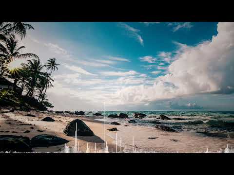 Team Feeling - Trop pour moi (Live 21 Décembre 2019)