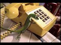 GEICO Yellow Phone 2000 USA