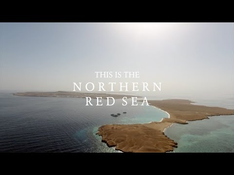 This is the Northern Red Sea (Red Sea Aggressor II)