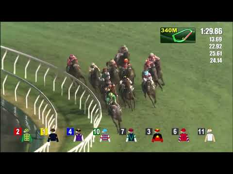 11/5/2022 (660) Tianchi Monster - Vincent Ho