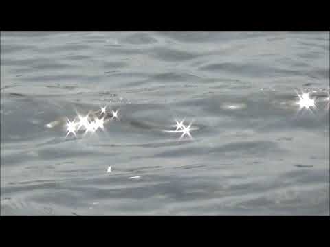 風にのせて