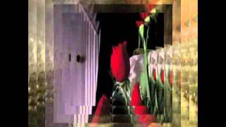 FUNDA ARAR  SENDEN ÖĞRENDİM.wmv