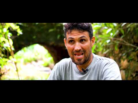 Paisaje Cultural Cafetalero de Guantánamo ☕🌿