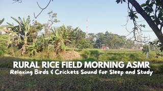 Download lagu ASMR Pagi Hari di Sawah Pedesaan • Suara Burung & Jangkrik yang Menenangkan untuk Tidur dan Belajar mp3