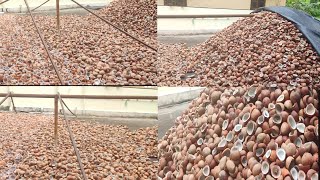 Coconut/Copra 1st quality/coconut oil/Wholesale Suppliers/7418177226/Mandi in Krishnagiri Tamilnadu