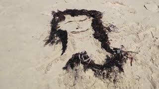 13th Floor Elevators Splash 1 remix Stan