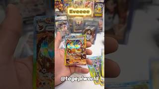 You cant imagine i just got the whole Eveelution 🤯😱 #pokemon #pokemoncards #pokemontcg #pokémon