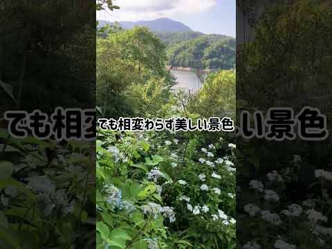 庭の鳥たちを歓迎して助けてください