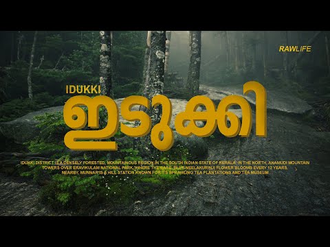 VILLAGE LIFE IDUKKI | COOKING FOOD |UPPUKUNNU | FISH CURRY | RAW LIFE 