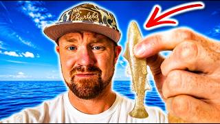 MASSIVE ZMAN MISTAKE with NEW Baits?! - Testing and Review