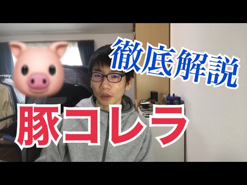 生物生産学科 豚コレラ（豚熱）について解説します