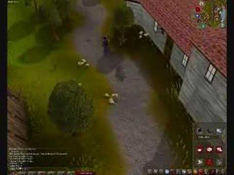 Hacker843 in the new runescape graphics