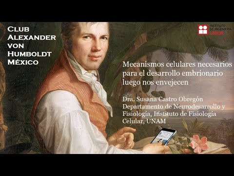 Mecanismos celulares del desarrollo embrionario, ¿claves en el envejecimiento?