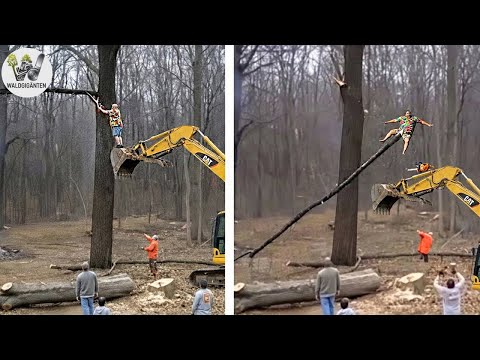Idioten mit Kettensägen: Epische Fehlfällungen und extrem gefährliche Holztransport-Fails #4