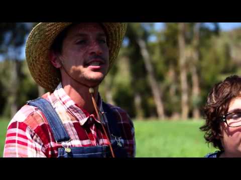 Clarence Clementine - Dirt Nasty, Andy Milonakis, RiFF RAFF