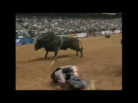 Jack The Ripper bucks Cody Whitney - 02 PBR Greensboro