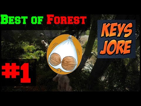 Best of KeysJore und Kreis - Forest #1 | Karottengamer