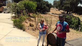 Ambyth Estate, Paso Robles