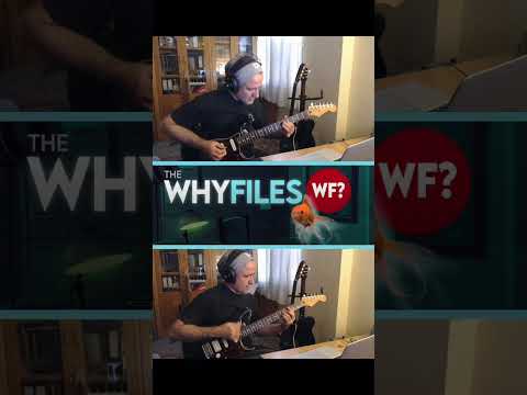 The Why Files Theme Song #thewhyfiles @TheWhyFiles