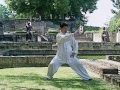 Tai Chi Lessons With Master Jian Liujun