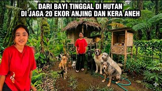 Download lagu VIRAL..! DIJAGA 20 EKOR ANJING ! DARI BAYI TINGGAL DI HUTAN ! GADIS CANTIK PEMBERANI BERTEMAN HEWAN  mp3