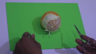 Dissection Techniques in surgery 2