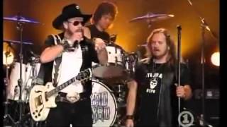 Lynyrd Skynyrd &amp; Hank Williams Jr  Born To Boogie 6 23 06