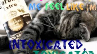 Intoxicated-The Cab (Lyrics video)