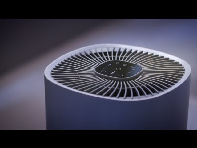 YouTube Video -