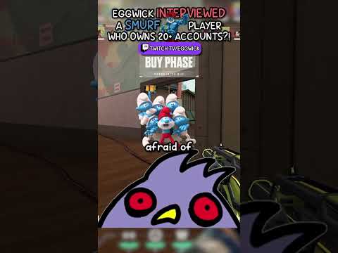 Valorant SMURF with 20+ Accounts EXPOSES the Smurfing Community... (shocking info)