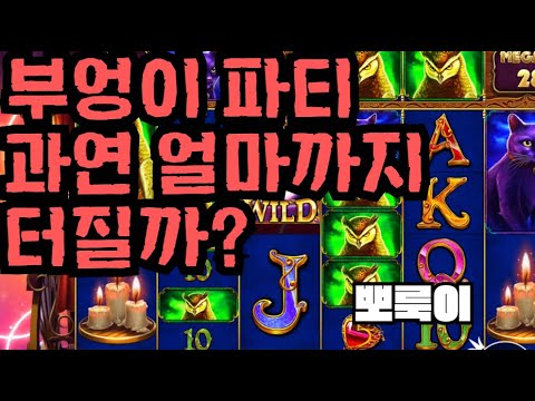 [슬롯][제보영상][닉네임:뽀룩이]마담 1100배