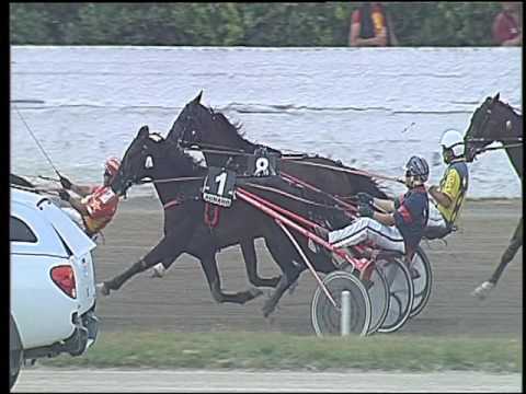 Trotto 16/06/2016 - 6° corsa