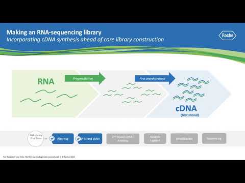 Ask a Scientist: How does RNA Sequencing Work?