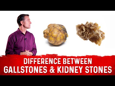 The Top SUPERFOODS for the Kidneys—Explained by Dr Berg