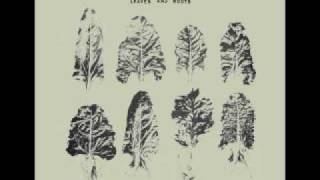 The Sleeping Tree - Love is an eternal lie