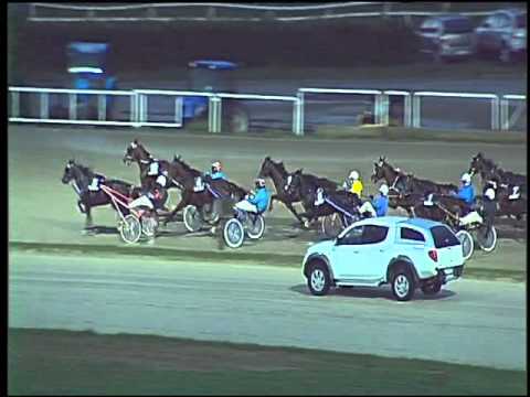 Trotto 29/10/2015 - 5° corsa