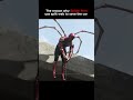 Spider Man Smart Spiderman Shorts Marvel Trending