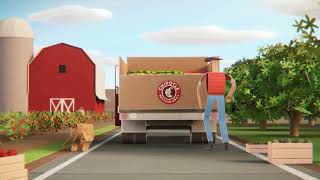 Chipotle Mexican Grill Chipotle | Unfolde