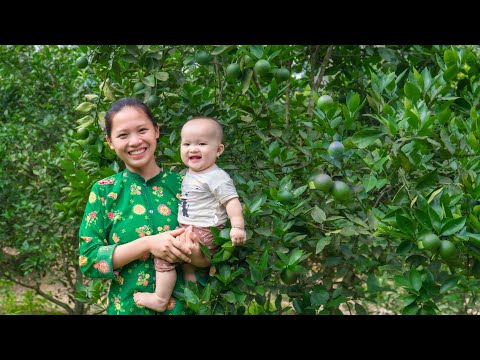 17 Year Old Single Mother - Daily Work, Caring for Orange Trees & Farm